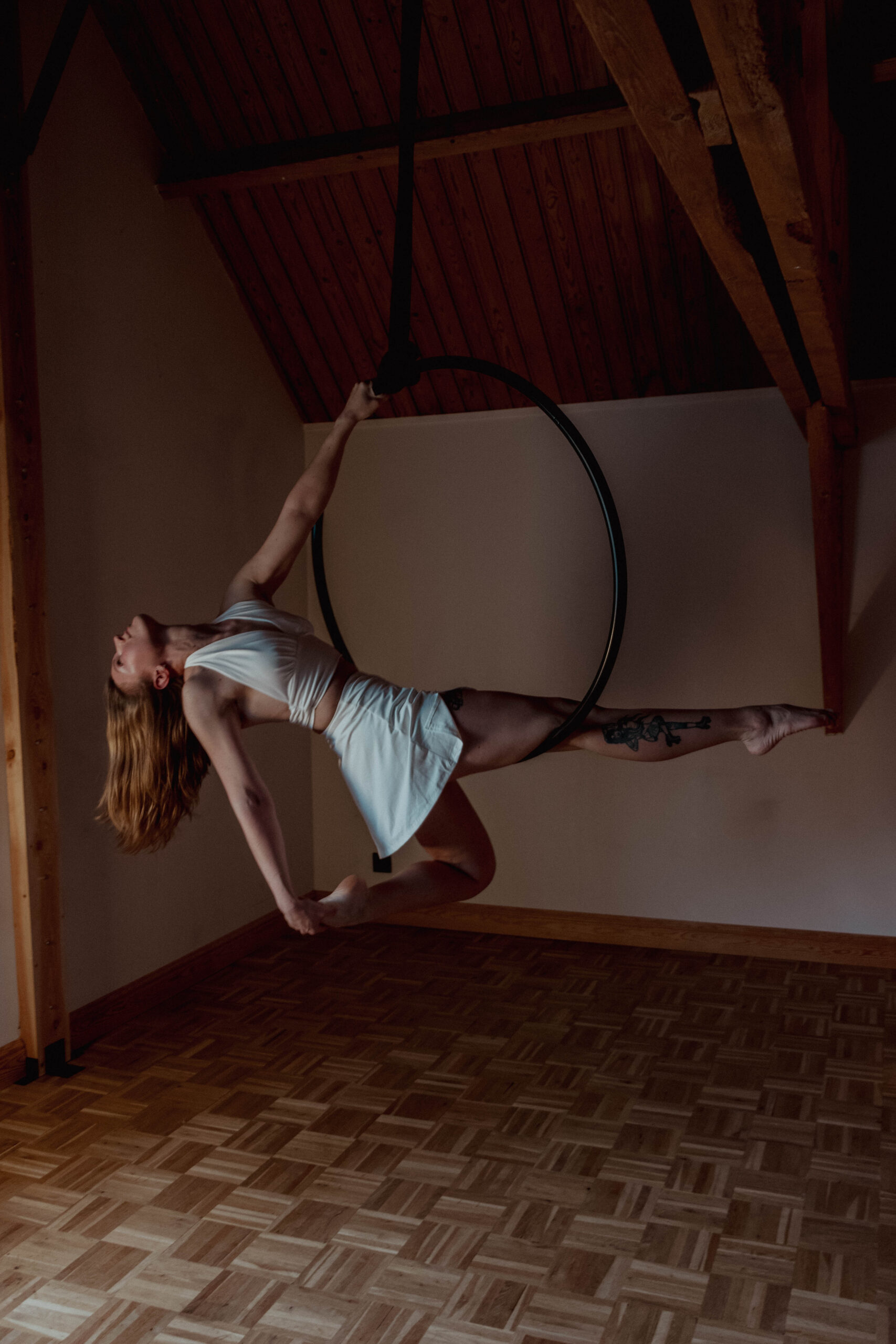 Proefles paaldans en/of aerial hoop - Afbeelding 2